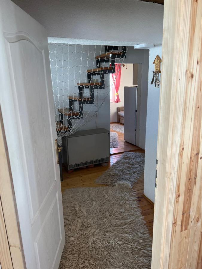 Kuca Miladinovic Villa Kopaonik Dış mekan fotoğraf